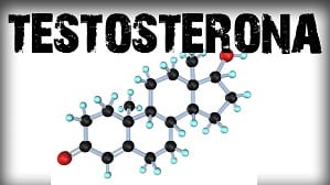 Sobre la testosterona