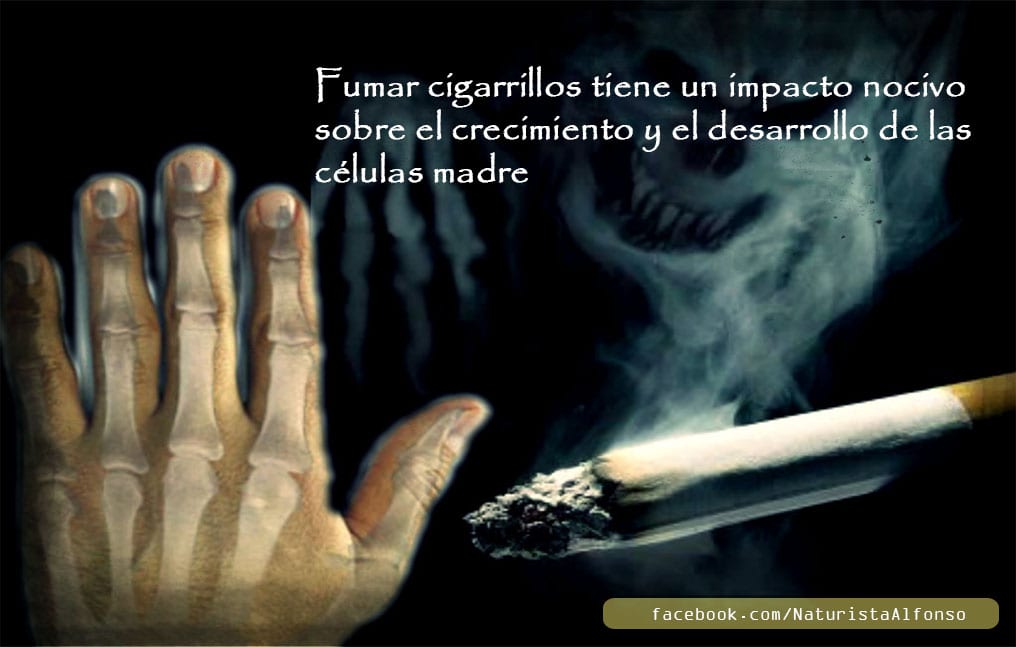huesos-fumar