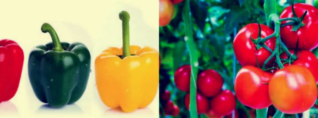 El consumir pimientos y tomates ayuda a prevenir el Parkinson