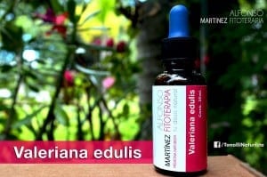 extractos de valeriana edulis