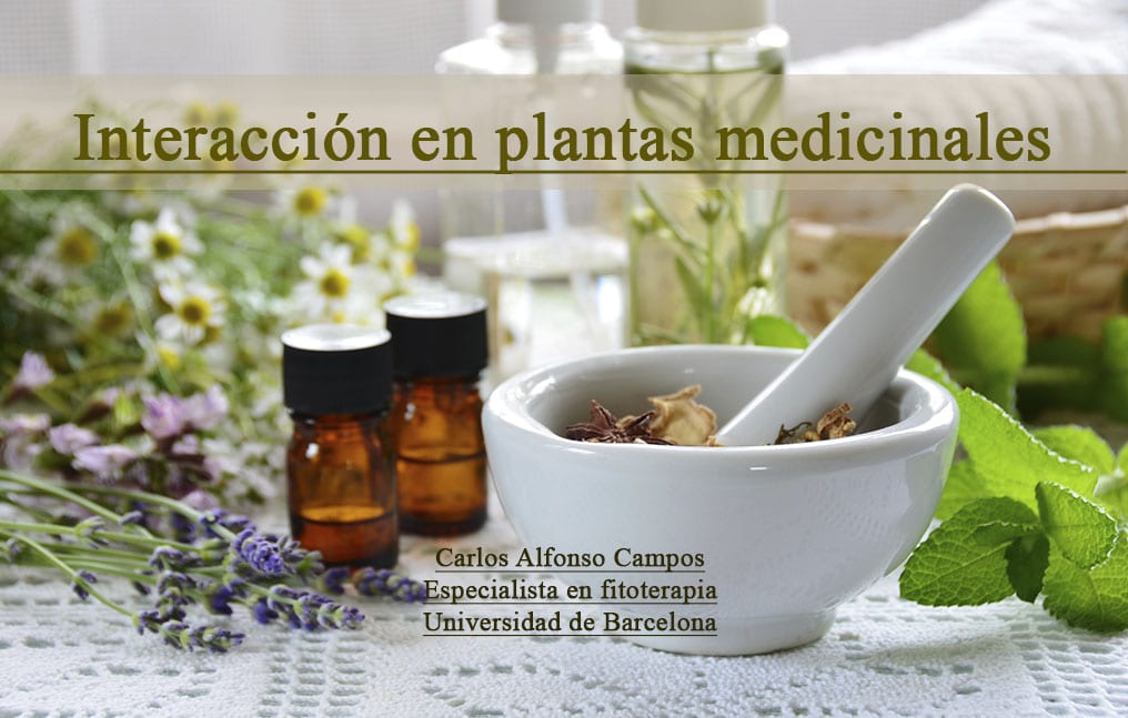 Interacción en plantas medicinales.