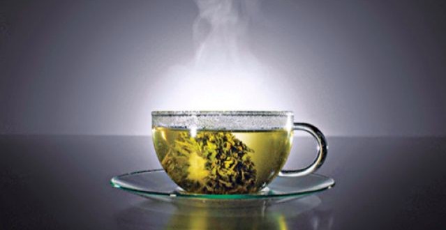 Té negro, té verde, té blanco de una misma planta.
